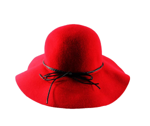 a floppy red hat